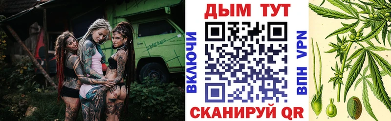 Бошки Шишки конопля  Купить  Сысерть 